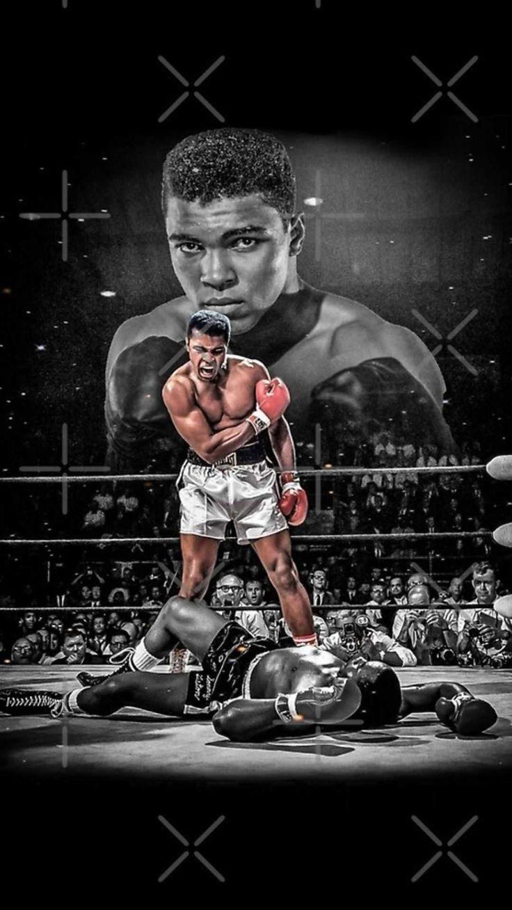 Barberpro Cape - Ali vs Frazier #4