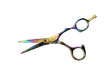 HASAMI E-55R Rainbow 5" Shear