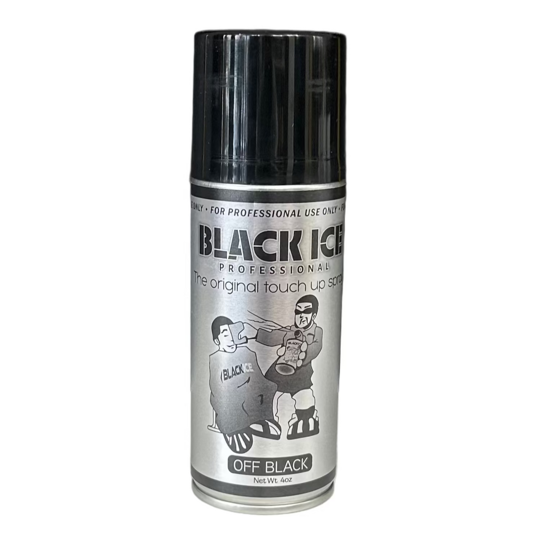 Black Ice Touch Up Spray