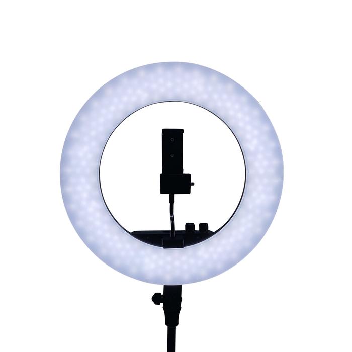 LED Adjustable Ring Light